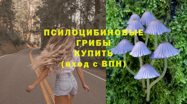 герыч Козельск